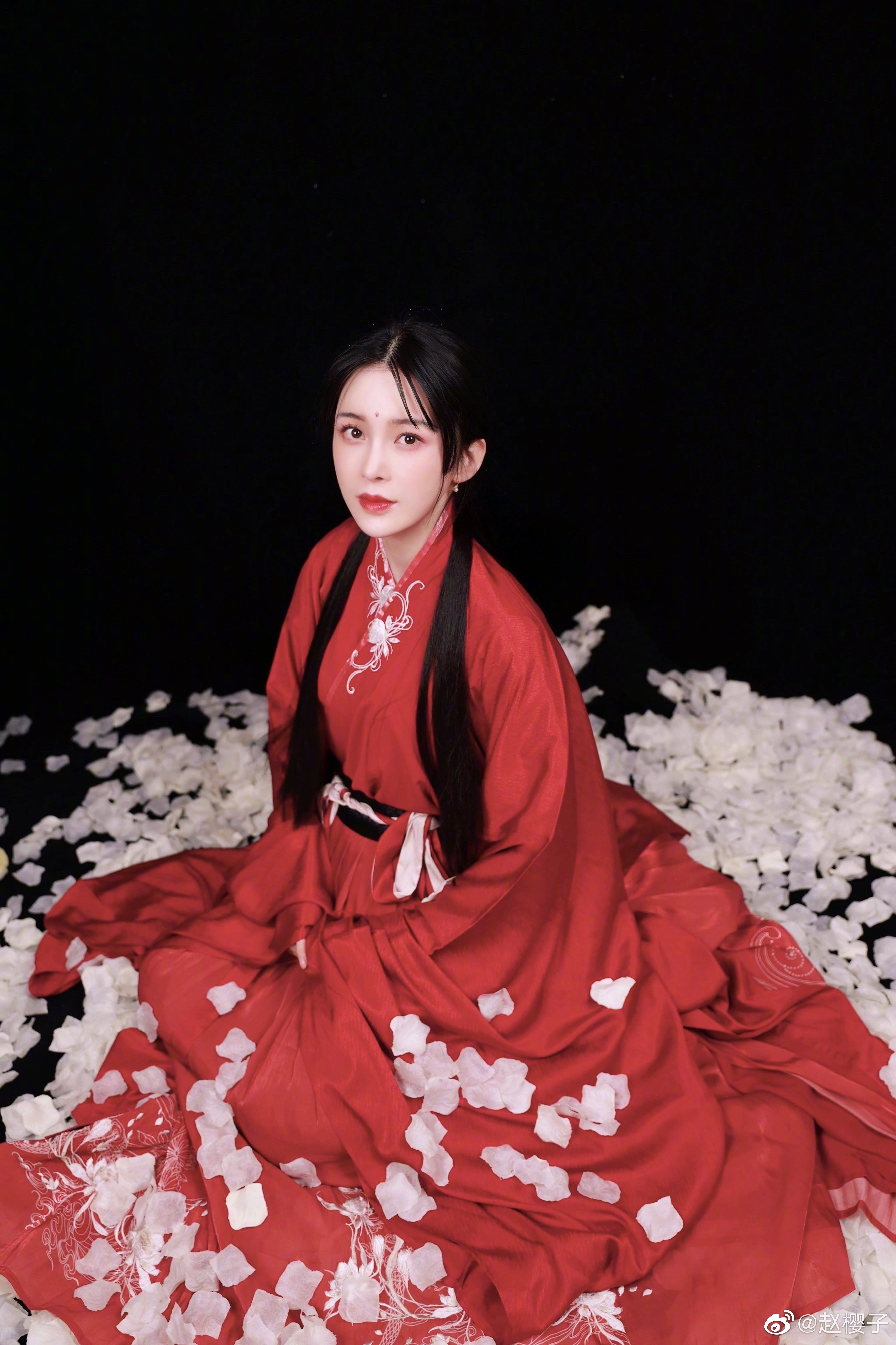 不是长得美就能驾驭古装，赵樱子才是为古装而生！（赵樱子演过的电视有哪些）