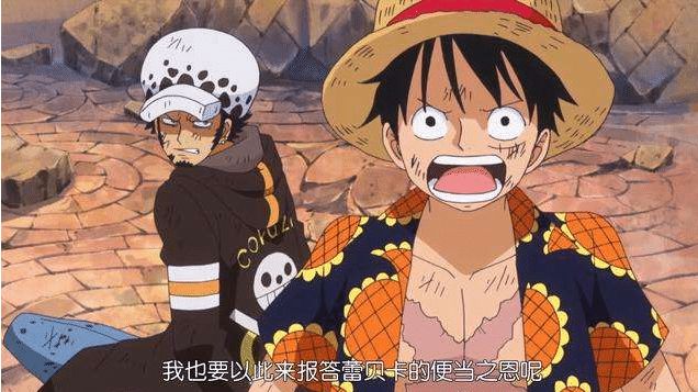 海贼王：罗才是最终BOSS 路飞只有打败罗才能成为真正的海贼王-罗是路飞的伙伴吗