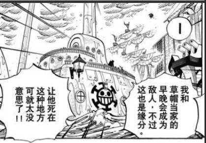 海贼王：罗才是最终BOSS 路飞只有打败罗才能成为真正的海贼王-罗是路飞的伙伴吗