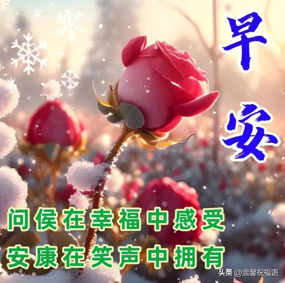 12月14日漂亮早上好问候动态图片最新版 周三最美早安祝福图片大全-12月早上好的问候美句图片