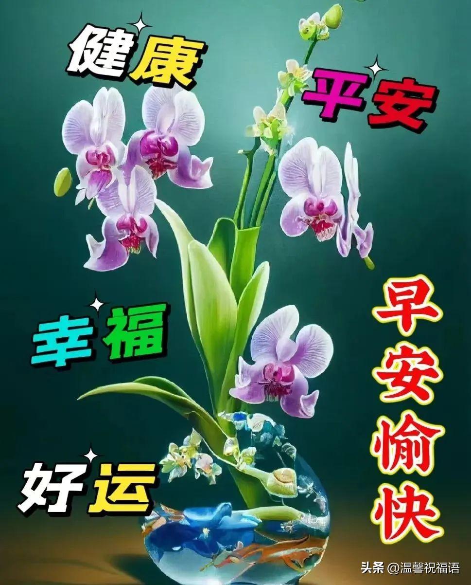 12月14日漂亮早上好问候动态图片最新版 周三最美早安祝福图片大全-12月早上好的问候美句图片