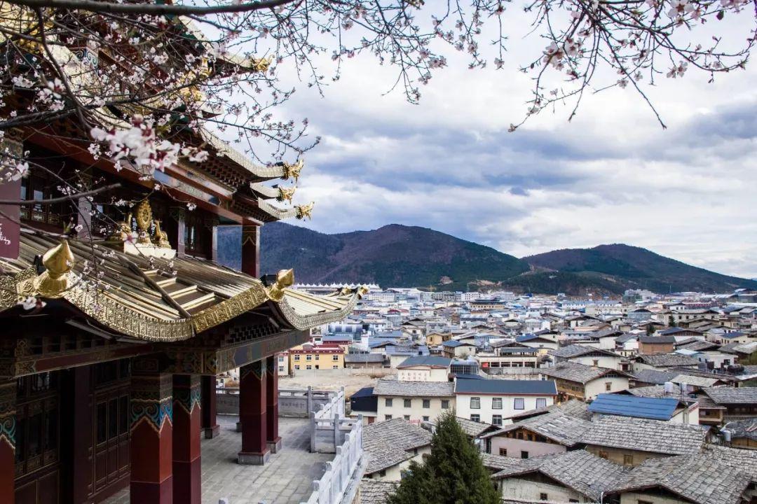 104个多音字，一句话就说完了！-108个多音字大全带拼音