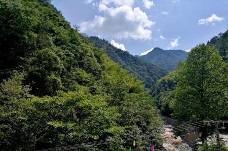浙江一个国家级自然保护区，拥有千米以上山峰17座（浙江自然保护区名录）