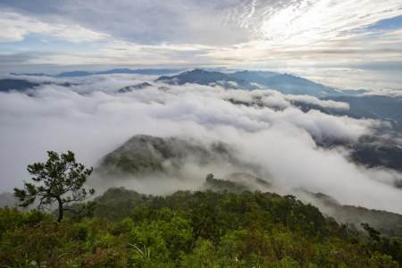 浙江一个国家级自然保护区，拥有千米以上山峰17座（浙江自然保护区名录）