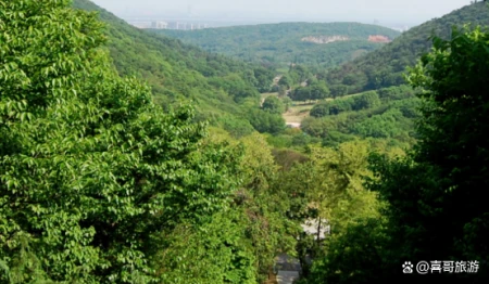 南京有什么好玩的地方？（南京有什么好玩的地方适合学生）