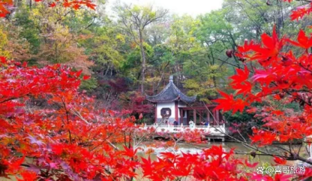 南京有什么好玩的地方？（南京有什么好玩的地方适合学生）