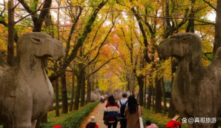 南京有什么好玩的地方？（南京有什么好玩的地方适合学生）