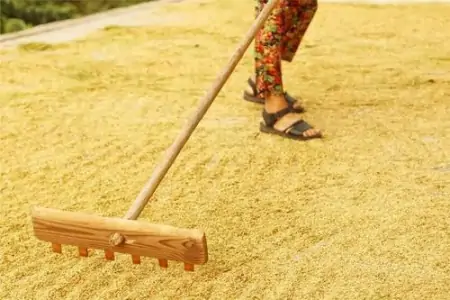 我国哪个省份所产的粮食能够实现自产自足？（全国生产粮食最多的省份）