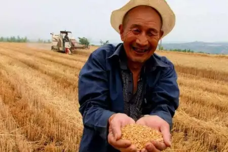 我国哪个省份所产的粮食能够实现自产自足？（全国生产粮食最多的省份）