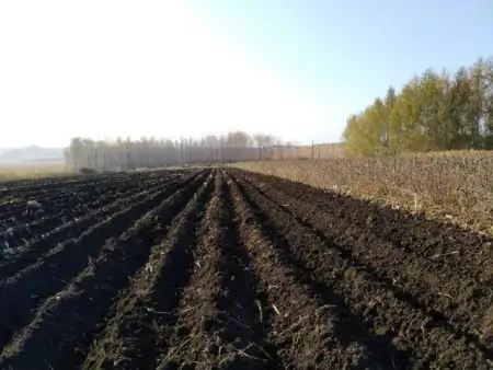 我国哪个省份所产的粮食能够实现自产自足？（全国生产粮食最多的省份）