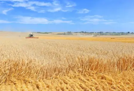 我国哪个省份所产的粮食能够实现自产自足？（全国生产粮食最多的省份）