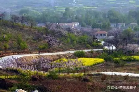 淮北市十大旅游景点，看看安徽淮北有什么好玩必去的地方旅游景点（淮北旅游景区哪里好玩）