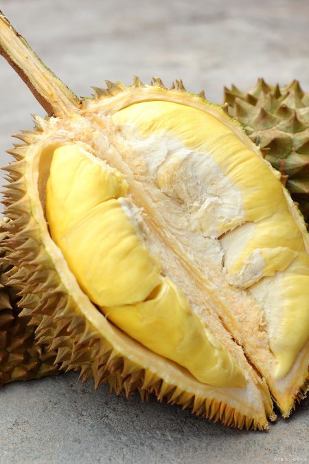 一个榴莲的营养价值高吗，吃榴莲要注意什么，吃榴莲会发胖吗？（一个榴莲几个人吃合适）