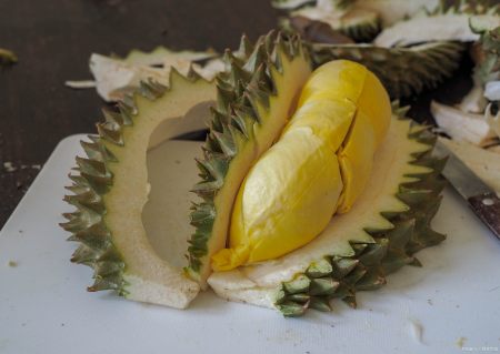 一个榴莲的营养价值高吗，吃榴莲要注意什么，吃榴莲会发胖吗？（一个榴莲几个人吃合适）