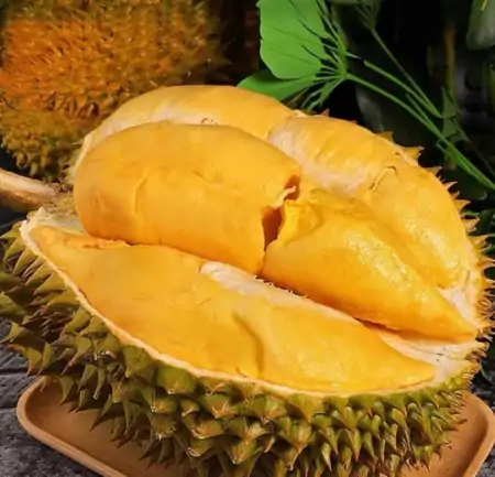 冰冻过的榴莲好吃吗？榴莲有什么效果？哪个牌子的榴莲最美味？（冷冻后的榴莲还能吃吗）