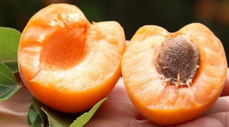 孕妇吃什么水果最好？这五大水果孕妇千万不能碰（孕妇吃哪些水果比较好）