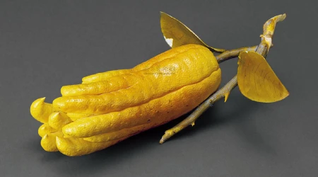 孕妇吃什么水果最好？这五大水果孕妇千万不能碰（孕妇吃哪些水果比较好）