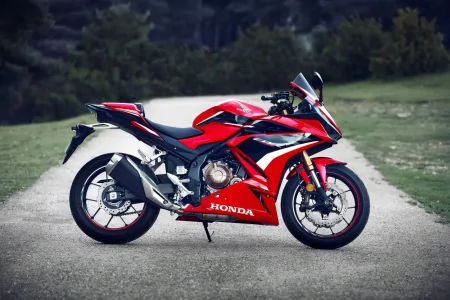 5月1日起《机动车登记规定》：上牌免检、自编自选车牌、互换车牌-新车上牌如何选取自编号码可以办么