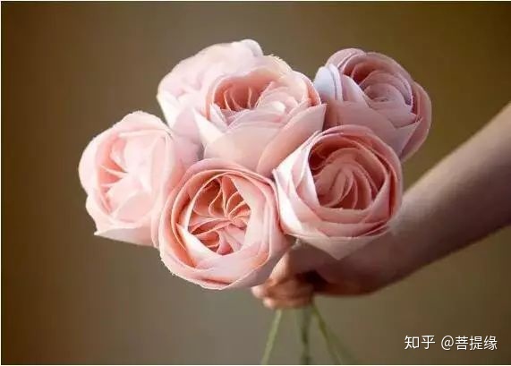 天价！天价！名贵植物排行，令人大开眼界（名贵的植物树）