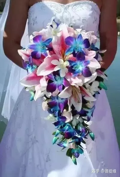 天价！天价！名贵植物排行，令人大开眼界（名贵的植物树）