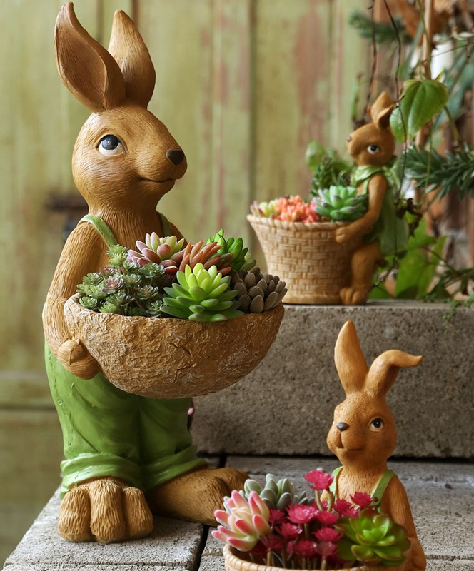 5种“小盆景”，比大树还值钱，客厅养一盆，能香几十年（小盆景叫什么）