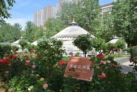 秦汉新城数十万株名贵花卉陪你过五一！（秦汉新城花海在哪里）