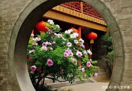 大户人家最爱养的十种花，家里养一盆，幸福又安康，日子节节高升（家里养什么花大气）