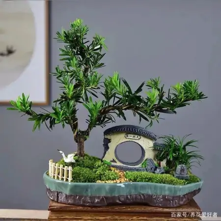 大户人家最爱养的十种花，家里养一盆，幸福又安康，日子节节高升（家里养什么花大气）