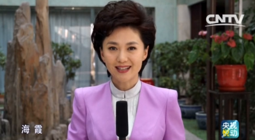 央视网更新主持人名单，海霞、欧阳夏丹已不在列，董卿、朱迅等坚守-央视主持人所有名单