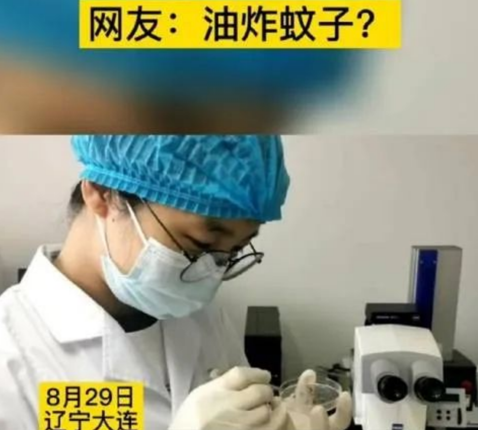 辽宁首次抓获四只金蚊子，万一被它咬一口，影响有多大？-辽宁警方缴获毒品15.7公斤 跨四省贩毒案成功收网