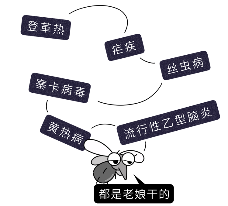 辽宁首次抓获四只金蚊子，万一被它咬一口，影响有多大？-辽宁警方缴获毒品15.7公斤 跨四省贩毒案成功收网