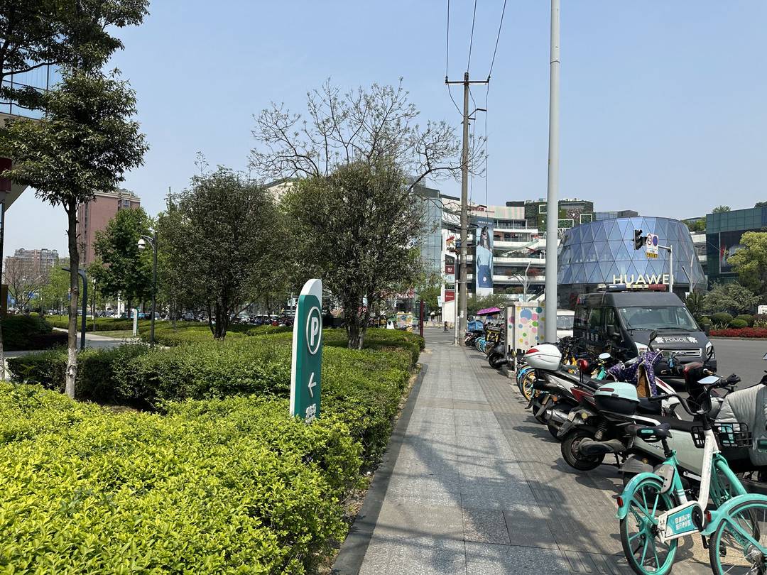 成都升温 街头千足虫“集体出游” 昆虫学家：雨后常见 不要触摸不会咬人-下雨天千足虫