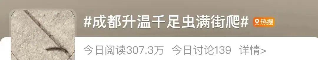 成都街头千足虫横行？别怕，不咬人，该小心的其实是它们-千足虫成虫图片