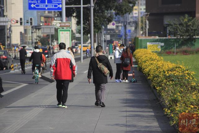 民情｜虫儿也来晒太阳？成都街边出现大量“千足虫”，是否对人体有害？-千足虫有什么用