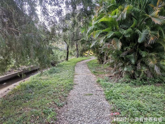 成都升温千足虫满街爬 满屏鸡毛疙瘩-成都升温千足虫满街爬囗