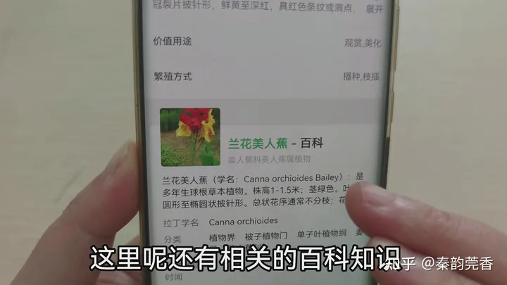 微信再次重磅更新，新增3个超实用功能，很多人还不知道，可惜了-微信又一新功能