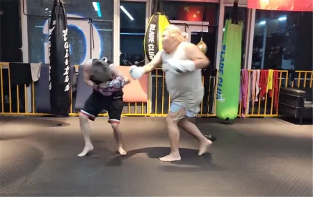 祖师爷终于被治了！童锦程为拳赛提前特训，结果被爆锤画面舒适（童锦程9.23直播）