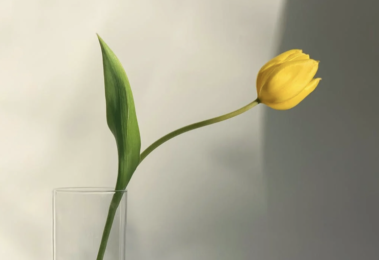 评“婴儿高铁上哭闹女子和宝妈对骂”：连最基本的人味都没了吗？-婴儿坐高铁哭是怎么回事