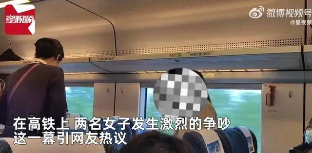高铁上女子和宝妈对骂：“不要带个孩子就不得了”-女子高铁辱骂母亲后弃母下车