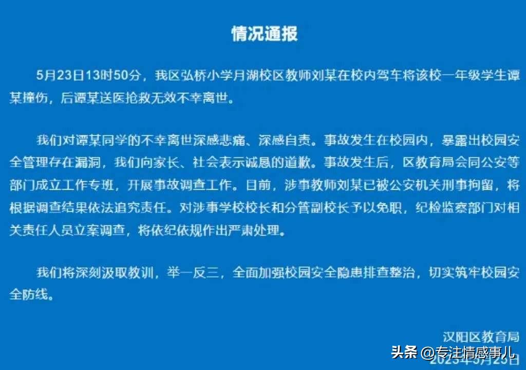 武汉被撞小学生身亡，母亲坠楼随他而去，她算是合格的母亲了吗？-武汉老师开车撞死学生