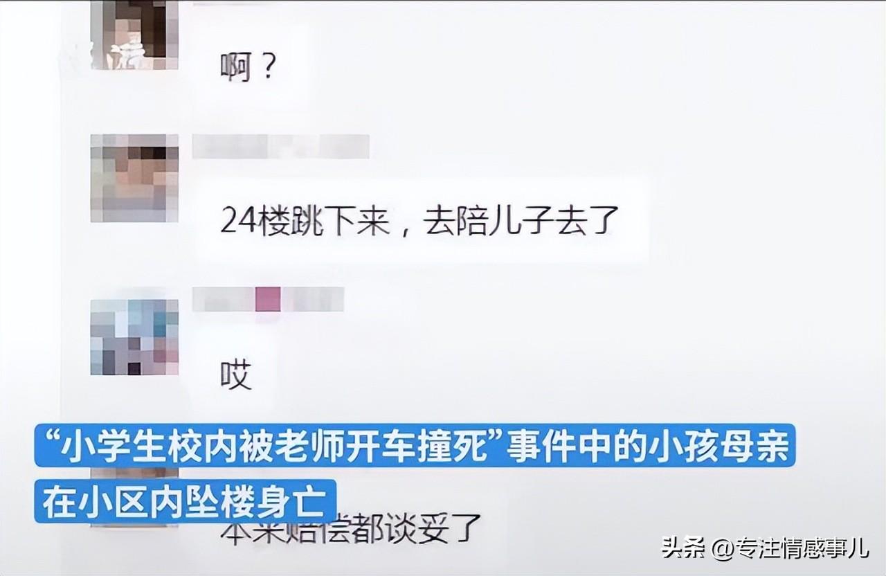 武汉被撞小学生身亡，母亲坠楼随他而去，她算是合格的母亲了吗？-武汉老师开车撞死学生