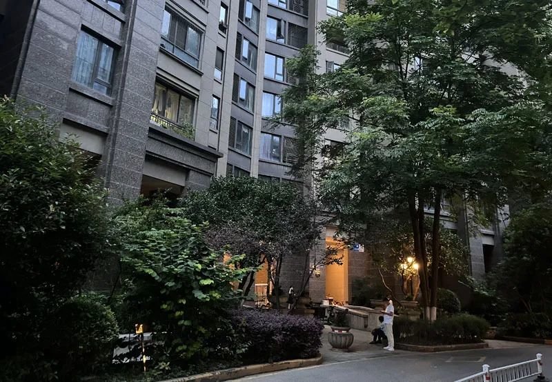 男孩校内被撞离世后，母亲坠楼身亡！“她刚失去孩子，又遭网暴”-男孩坠楼事件