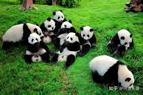 巴蜀好男儿四川籍航天员叶光富参与神舟十三号飞船发射成功的感想（航天员叶光富今年多大了）