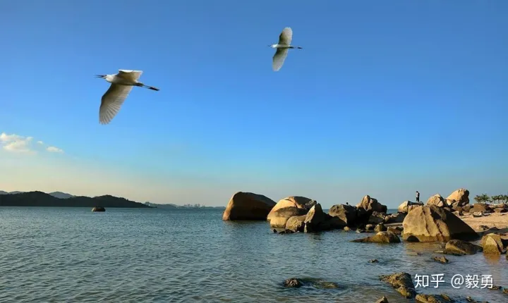 中国最宜居的5座城市, 南方有4座城市上榜, 北方却只有1座（中国最宜居的五个城市）