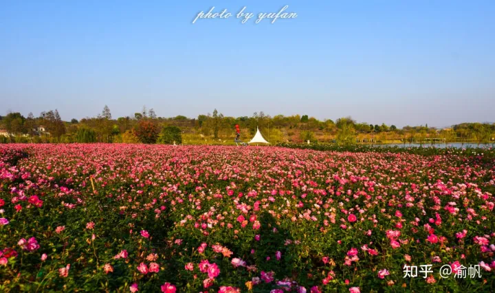 2020年中国宜居城市出炉，重庆进十强，北京广州排倒数，成都落榜（2021中国宜居城市前十名）