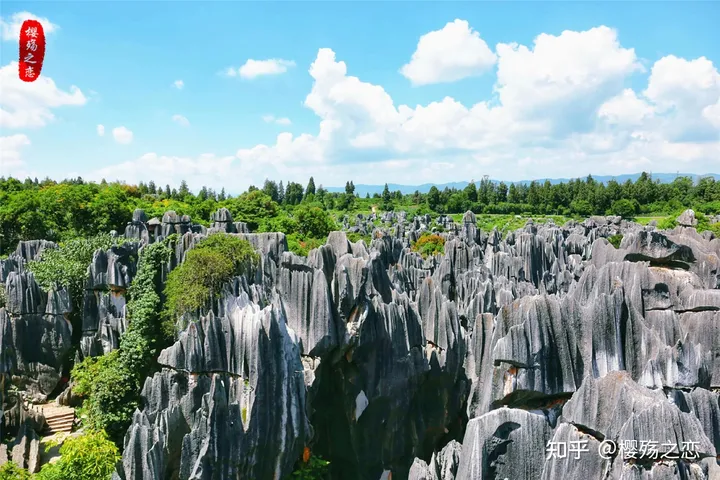 中国十大宜居城市，南方共有七座城市上榜，第一名却来自北方（中国的十大宜居城市2021）
