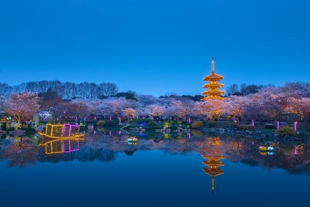 中国最宜居的10个城市，哪一个最吸引你？（2018中国最宜居的城市前十名）