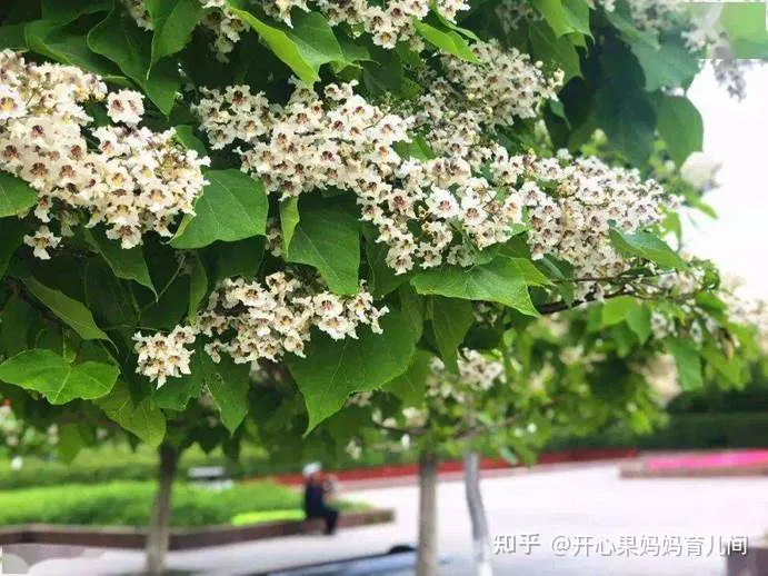 2021新生儿爆款名字出炉，霸榜5年的名字，新手父母别再给娃用了-新生儿宝宝名字大全,年度名字排行榜