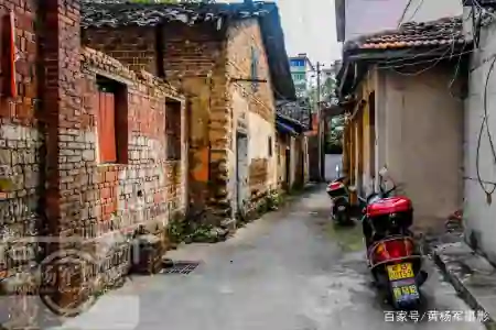 江西未来最吃香的城市，有区位优势历史古迹多，山水环绕宜居宜游（江西未来有发展吗最新消息）