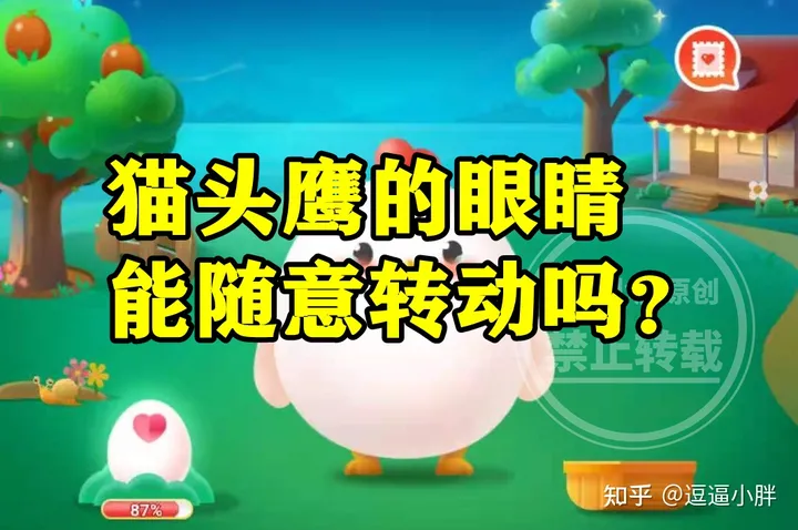 猫头鹰的眼睛能不能随意转动？蚂蚁庄园今日答案（猫头鹰的眼球可以转动吗）